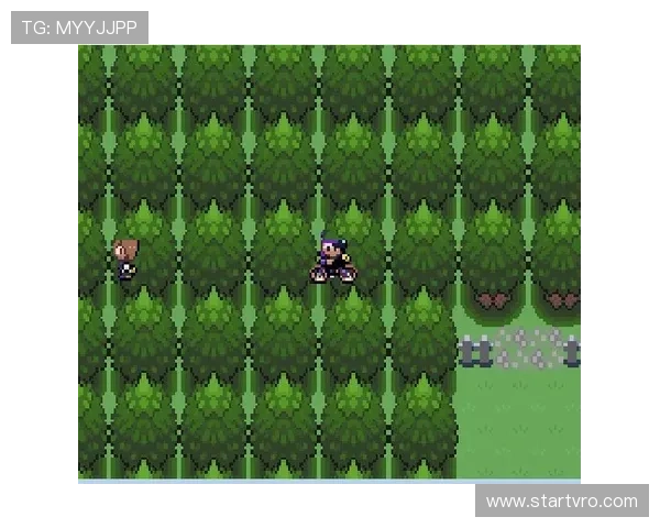 紫百合公园停摆众人缅怀科米索